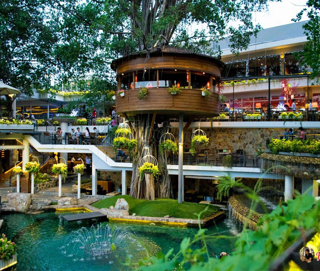 Thiết kế quán cafe theo phong cách sân vườn